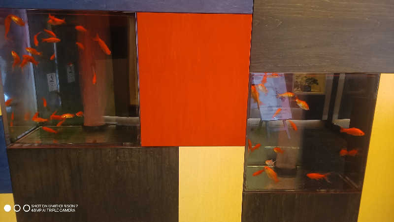 お出掛けサ活♨️べびすた🤔🥃🎯さんのおふろcafe bijinyu | 美肌湯のサ活写真