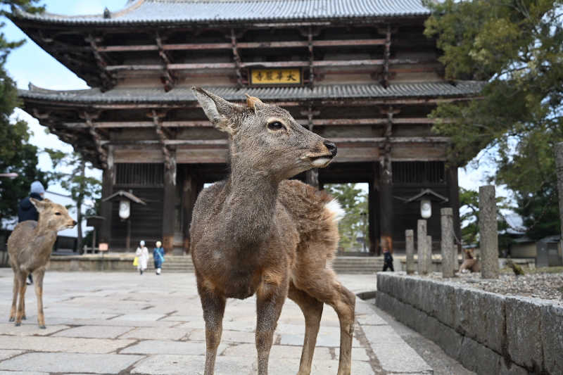グランクラスしんやさんのサウナ&カプセルホテル ルーマプラザのサ活写真