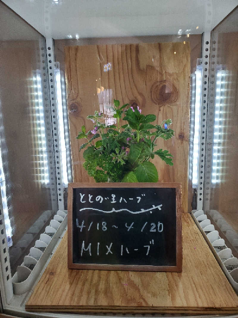 ふらふら♨🍺TAMAXさんの各務原 恵みの湯のサ活写真