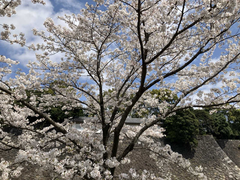 あんでーさんの上野ステーションホステル オリエンタル2のサ活写真