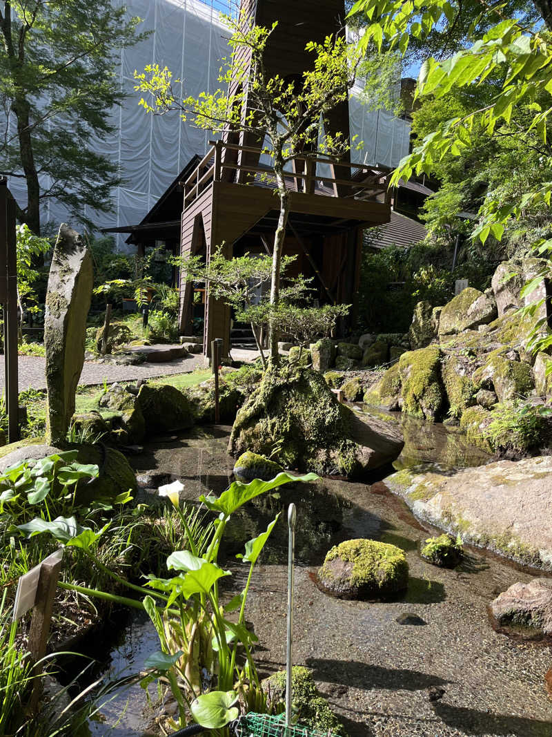 Pandaccoさんの箱根湯本温泉 天成園のサ活写真