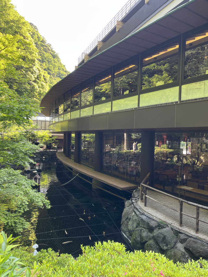 Pandaccoさんの箱根湯本温泉 天成園のサ活写真