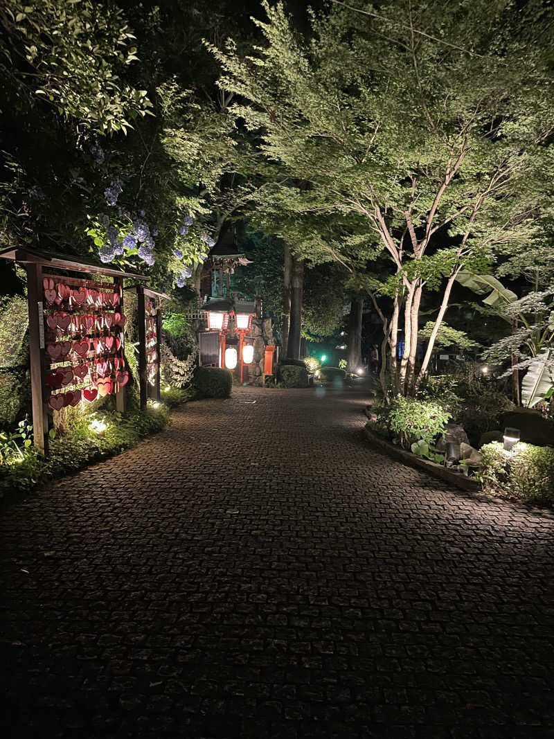 Pandaccoさんの箱根湯本温泉 天成園のサ活写真