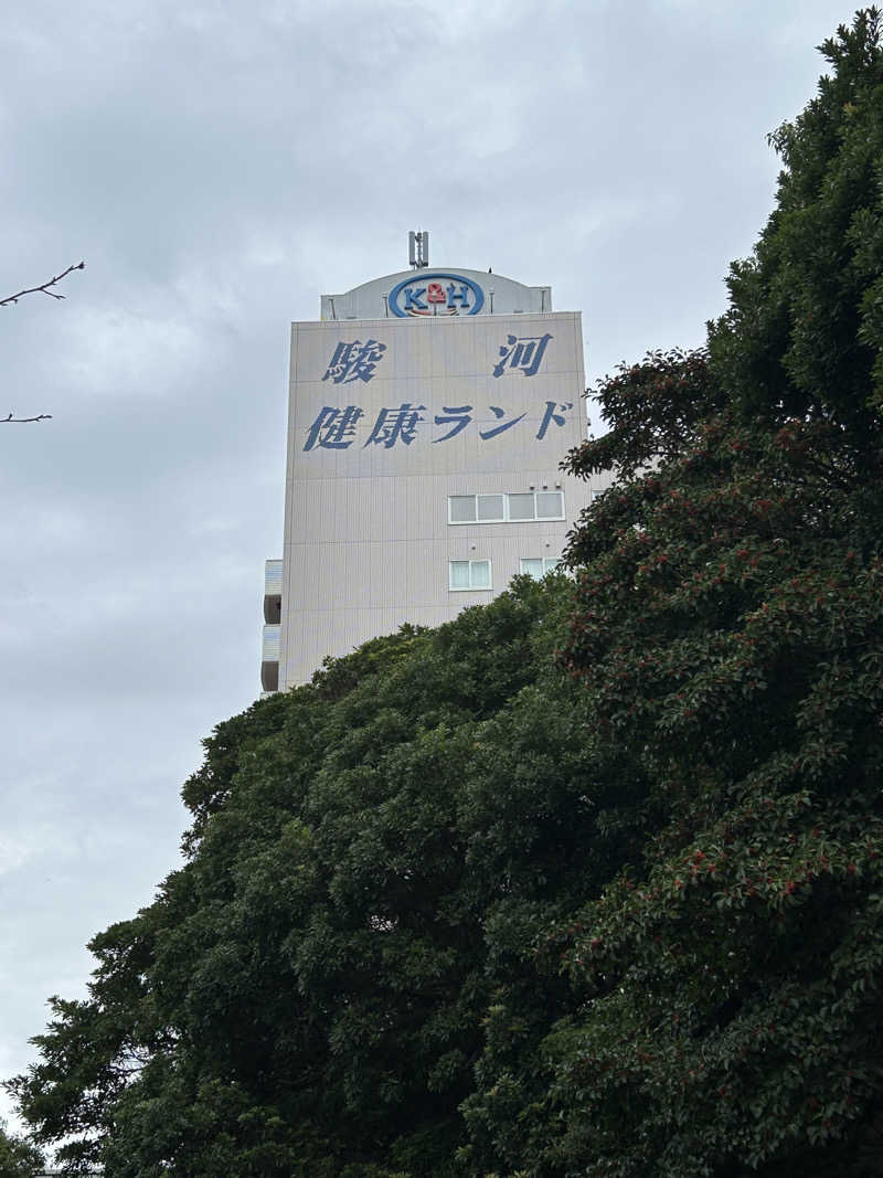 チョコビさんの駿河健康ランドのサ活写真