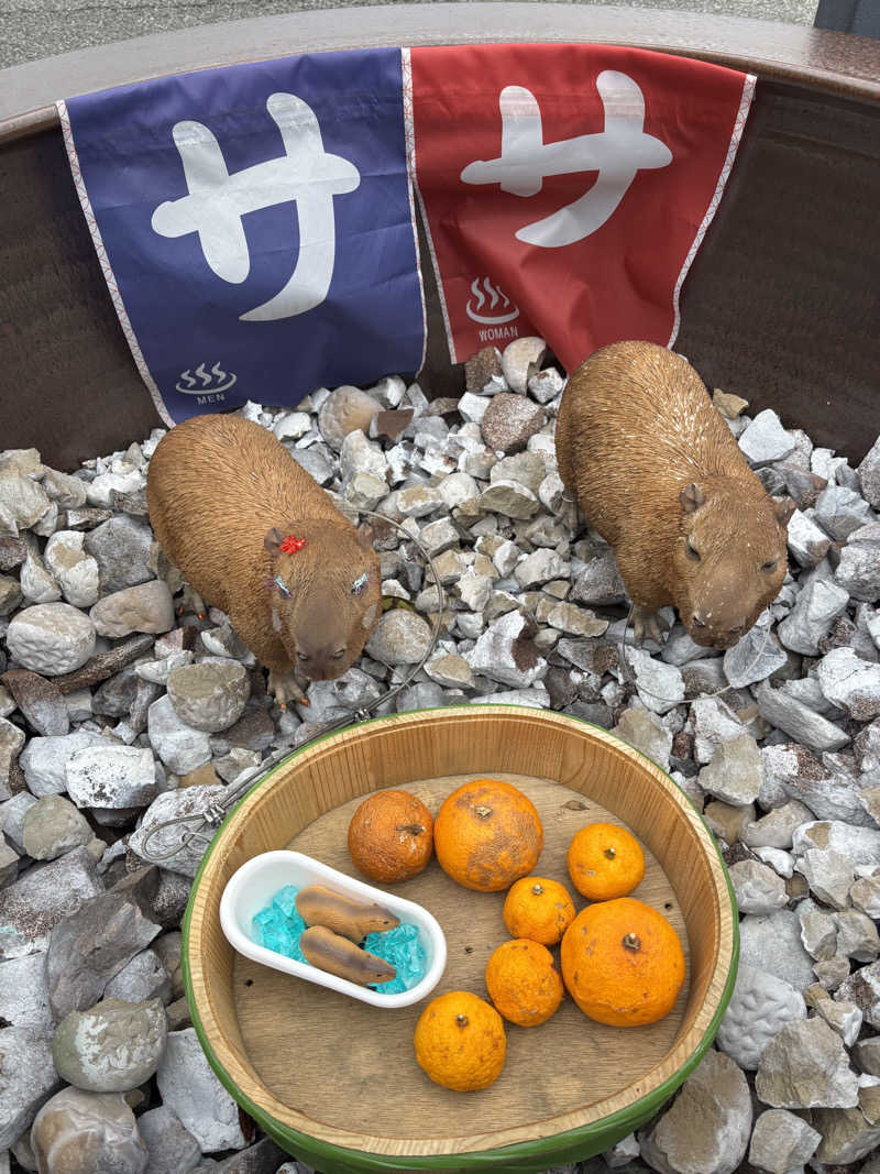 mM21さんの富士山天然水SPA サウナ鷹の湯のサ活写真