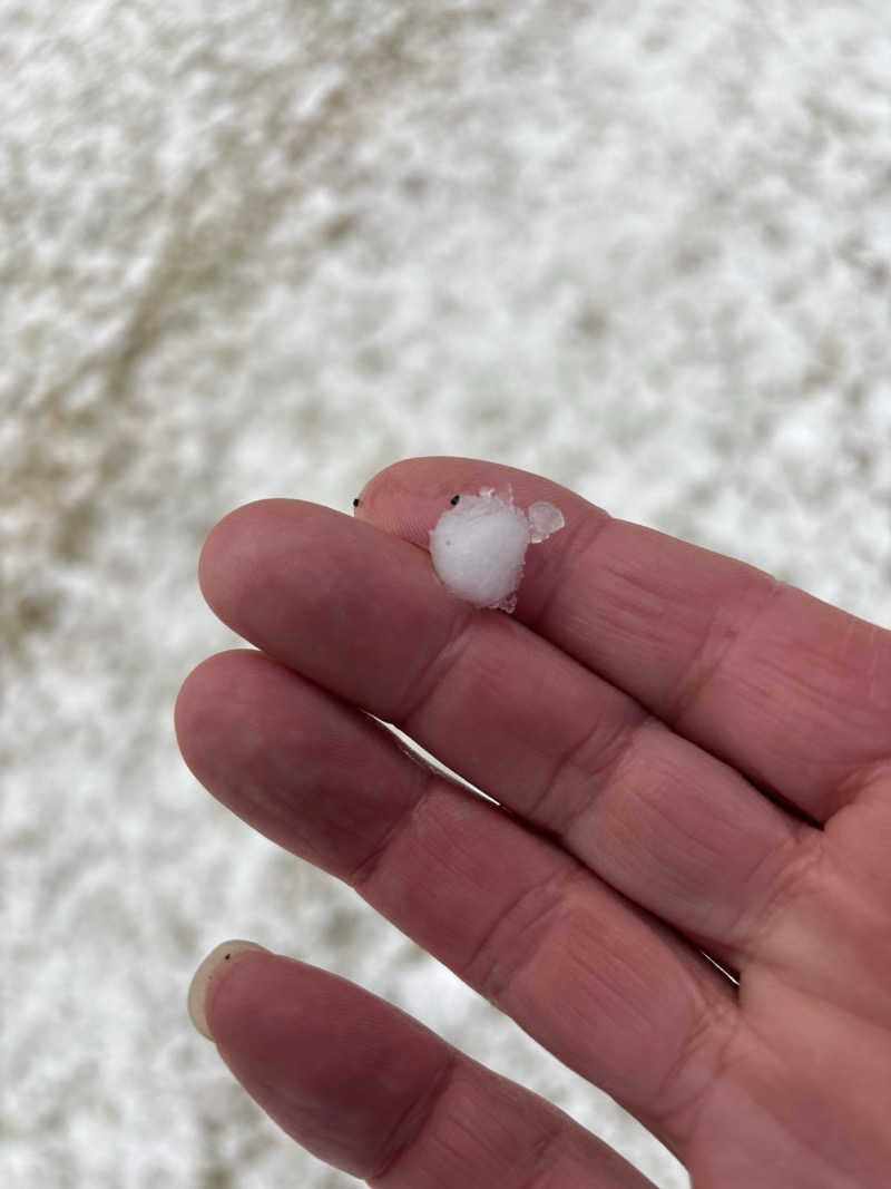 mM21さんのスパリゾート オアシス御殿場のサ活写真