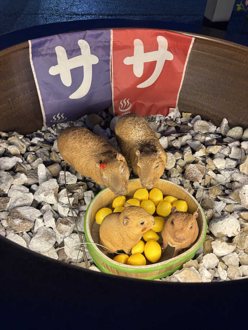 mM21さんの富士山天然水SPA サウナ鷹の湯のサ活写真