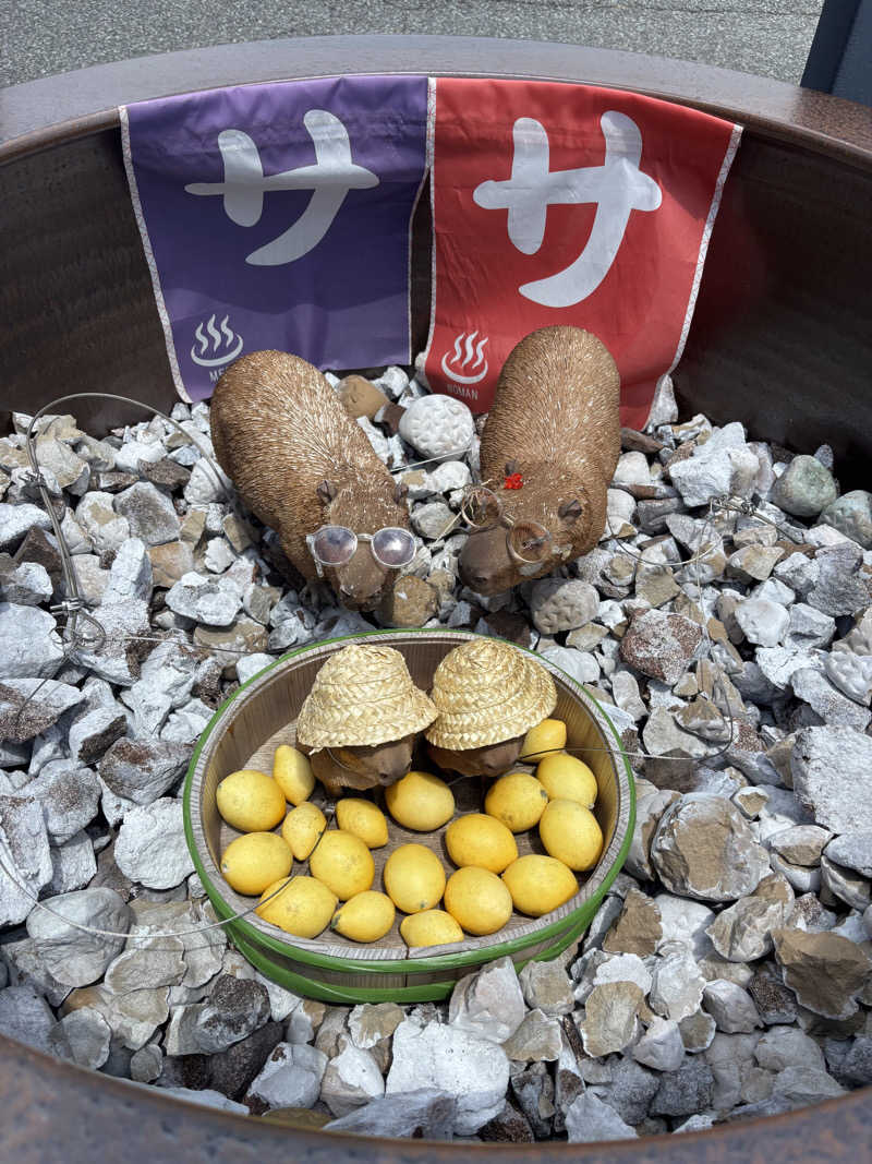 mM21さんの富士山天然水SPA サウナ鷹の湯のサ活写真