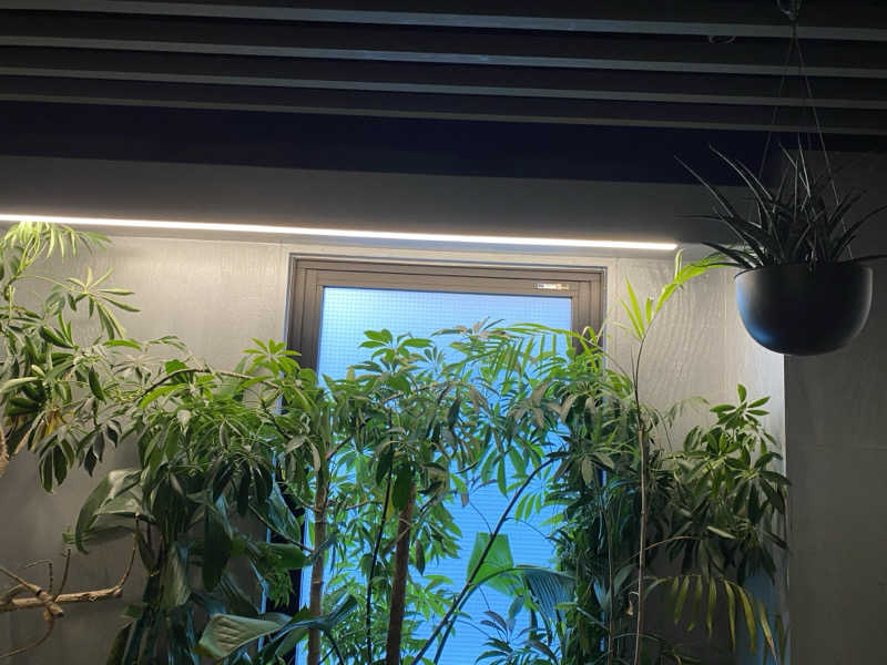 サウナアイシテルさんのSAUNA&coのサ活写真