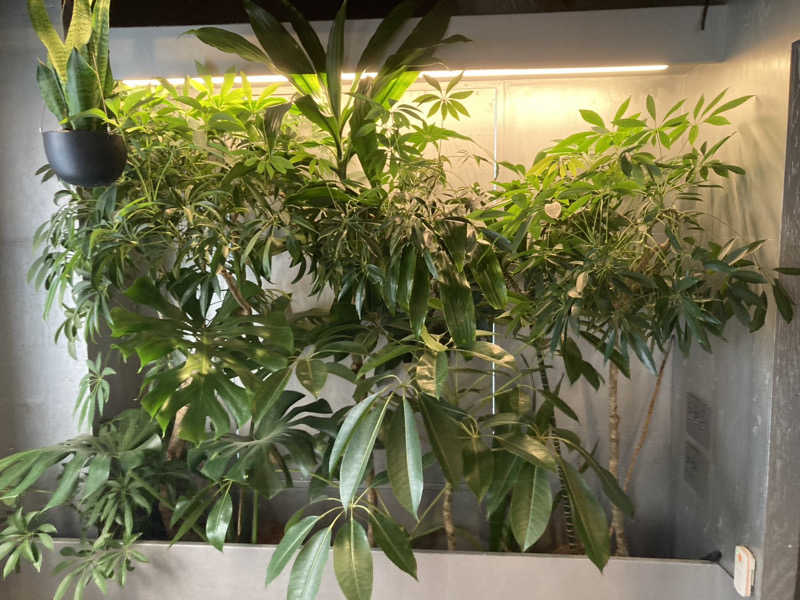 サウナアイシテルさんのSAUNA&coのサ活写真