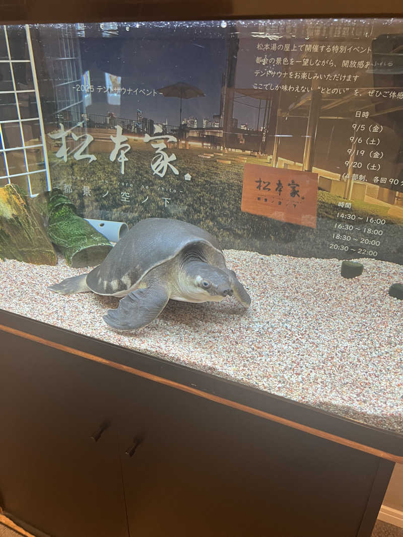 mipさんの松本湯のサ活写真