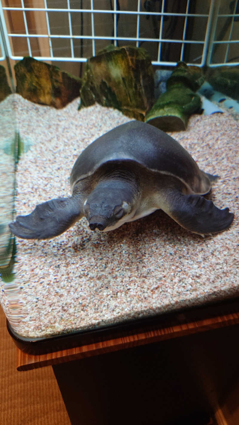 じゅんちさんの松本湯のサ活写真