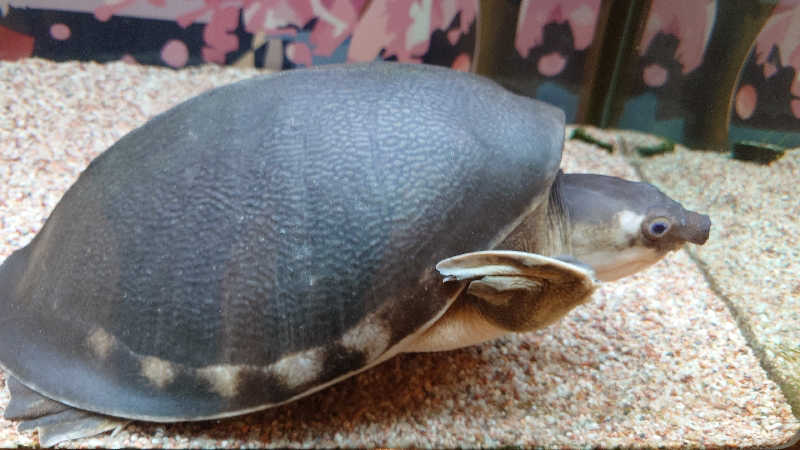 じゅんちさんの松本湯のサ活写真