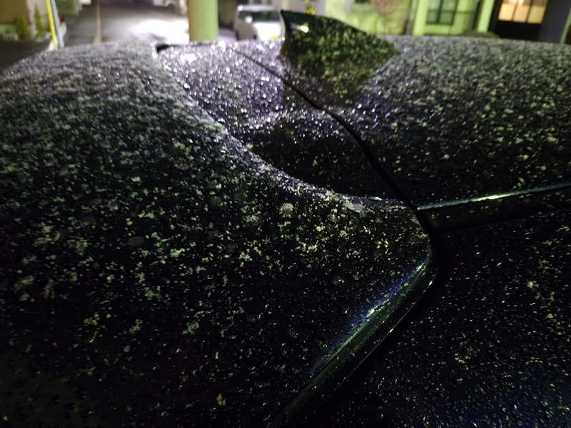 自動蒸人形さんの月見湯のサ活写真