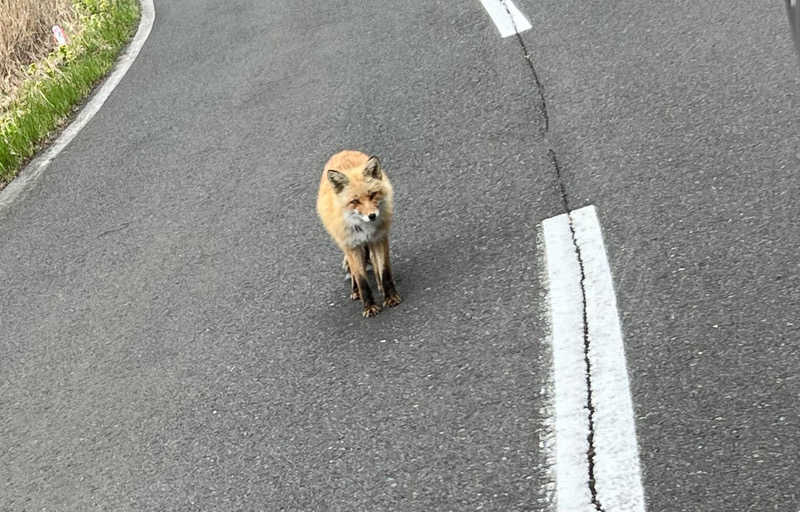 たかしさんの吹上温泉保養センター 白銀荘のサ活写真