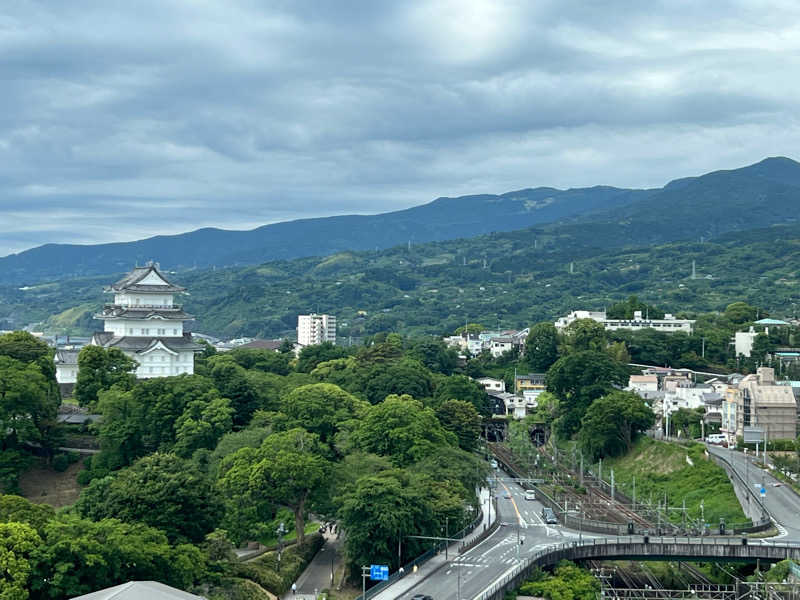 たかしさんの天成園 小田原駅 別館のサ活写真