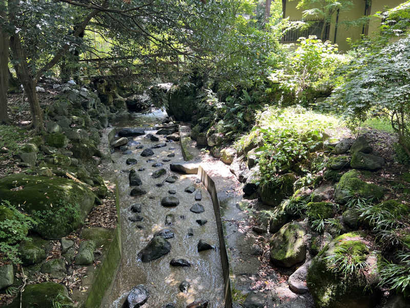 たかしさんの八面山金色温泉のサ活写真