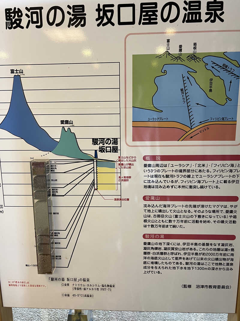 たかしさんの駿河の湯 坂口屋のサ活写真