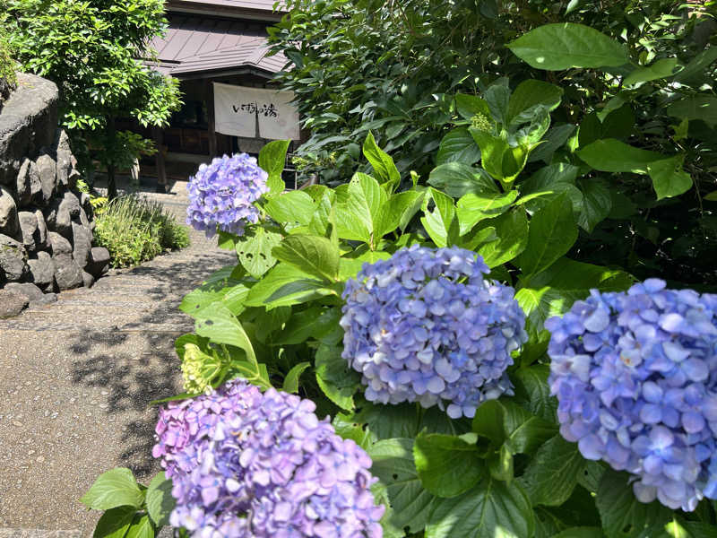 たかしさんのいずみの湯 (ニューウェルシティ湯河原)のサ活写真