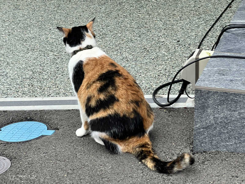 たかしさんの七沢荘のサ活写真