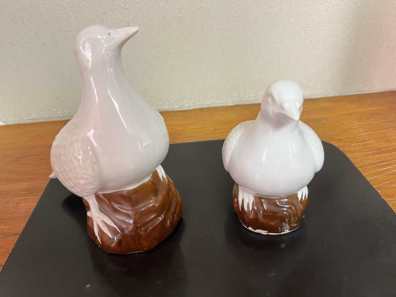 たかしさんのハトヤホテルのサ活写真