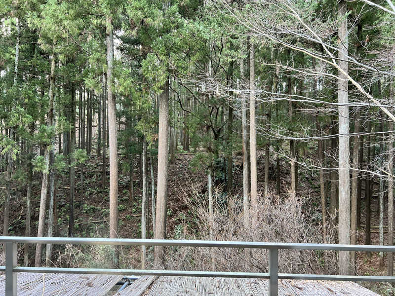 たかしさんの清川村ふれあいセンター 別所の湯のサ活写真