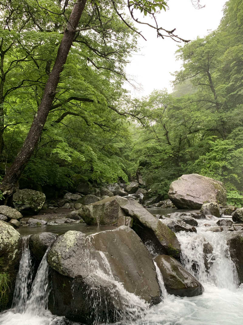 グイード・ミスタさんの山梨日帰り温泉 湯めみの丘のサ活写真