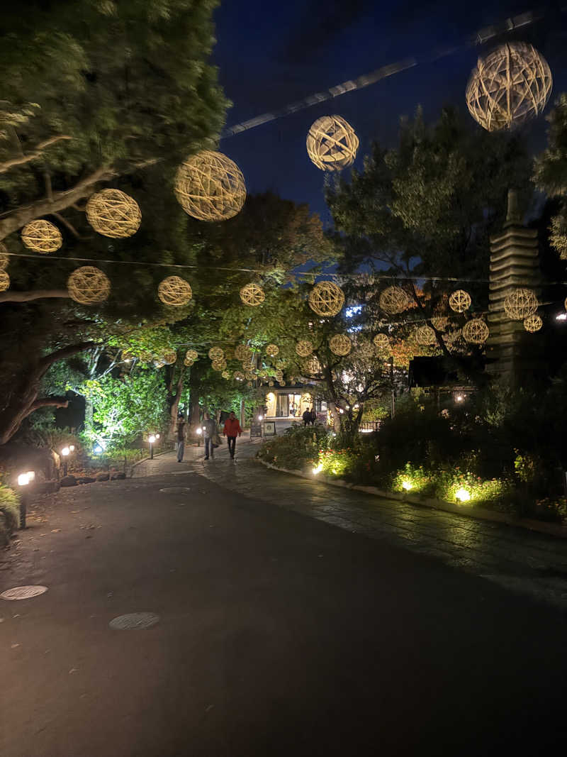 初心者サウナーさんのよみうりランド眺望温泉 花景の湯のサ活写真