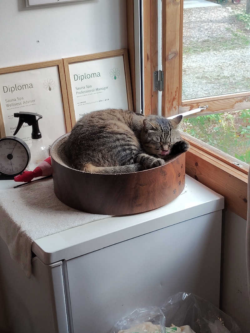 お！メコン川！さんのOUSE SAUNA TUULI(OUSE Camp&Sauna TUULI内)のサ活写真