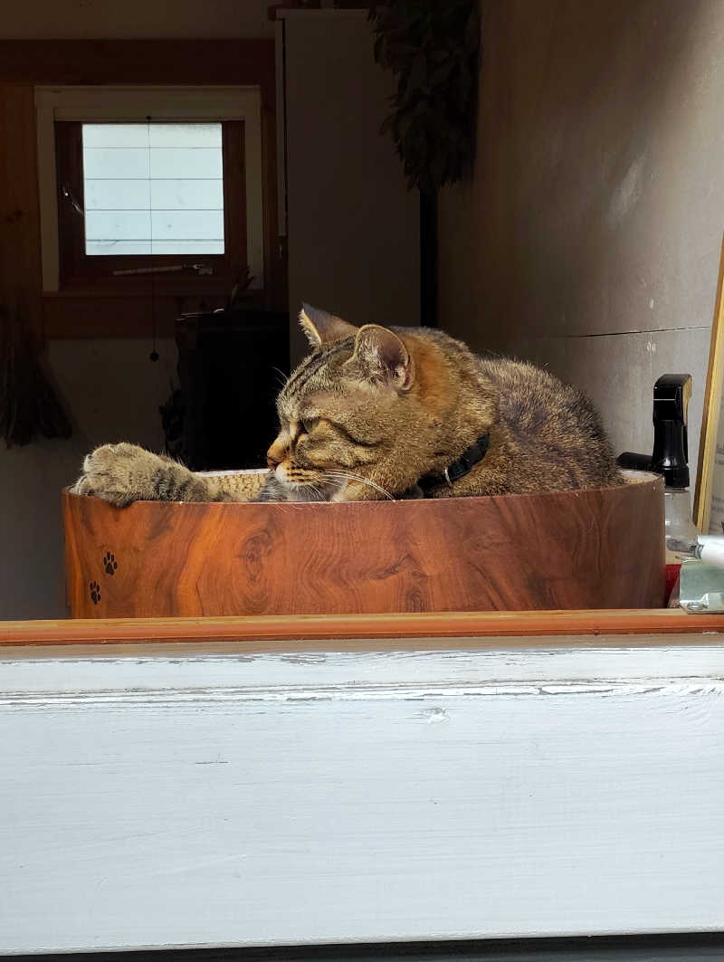 お！メコン川！さんのOUSE SAUNA TUULI(OUSE Camp&Sauna TUULI内)のサ活写真