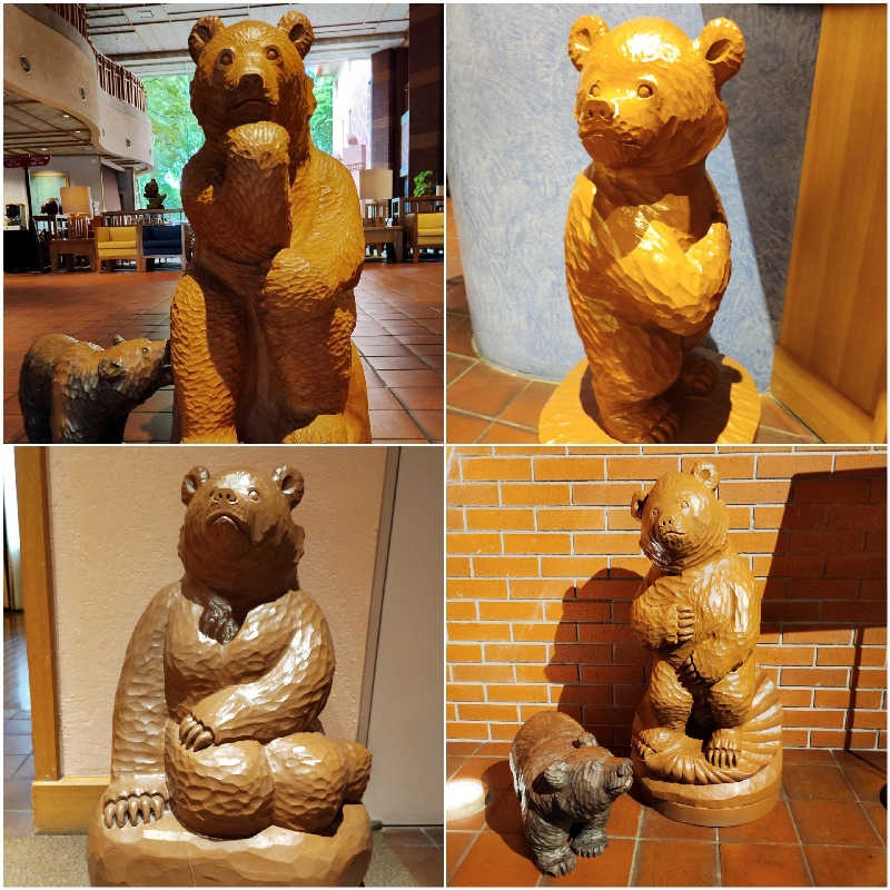 お！メコン川！さんの森のスパリゾート 北海道ホテルのサ活写真