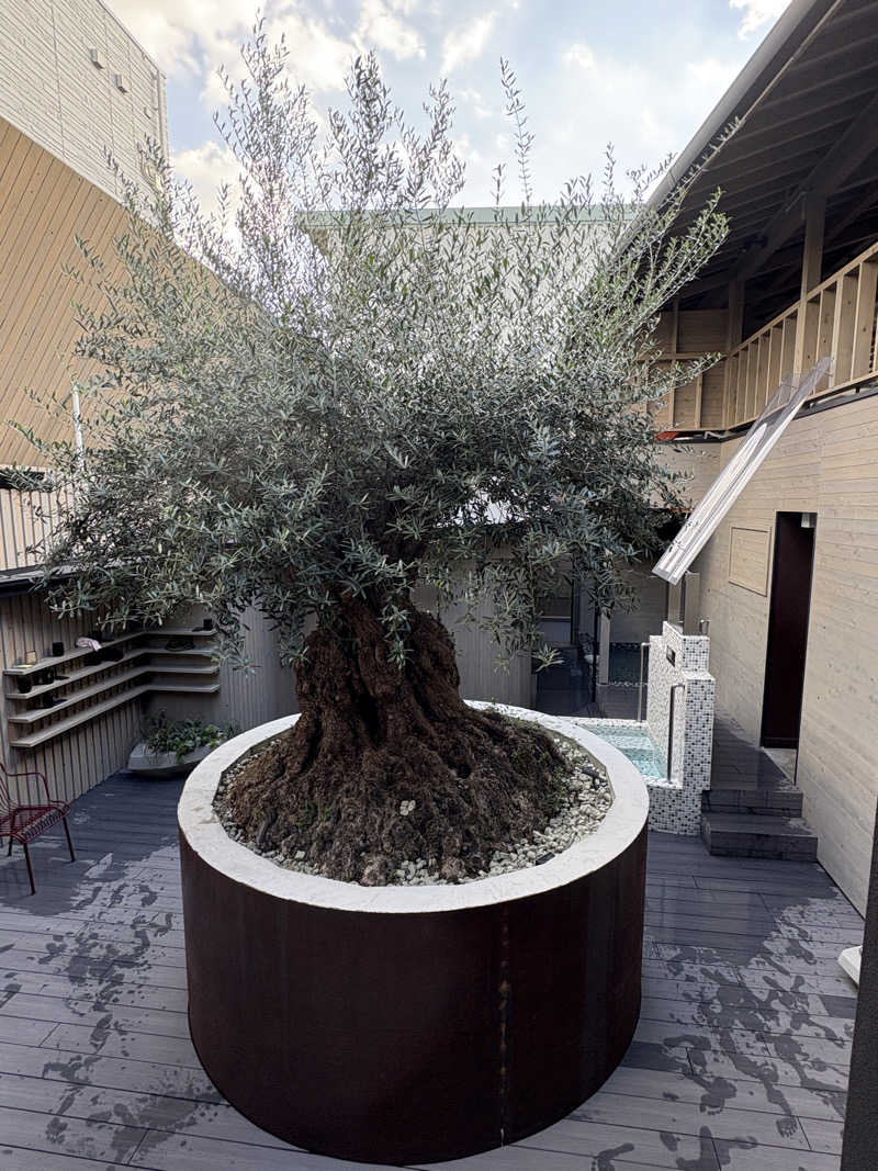 ほしずらさんのsauna kolme kylä (サウナ コルメ キュラ)のサ活写真