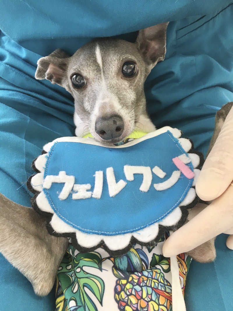 🏇少し競馬好きなサウナーです♨️さんの大垣天然温泉 湯の城のサ活写真