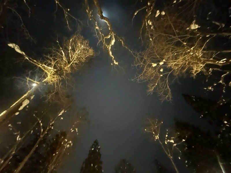 わさびさんのThe Saunaのサ活写真