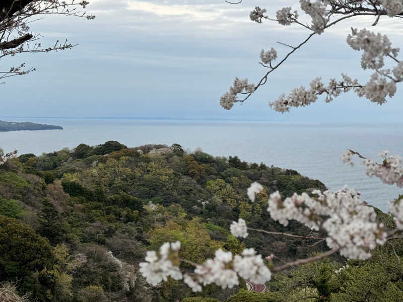 じょーさんの伊東園ホテル 熱川ハイツのサ活写真