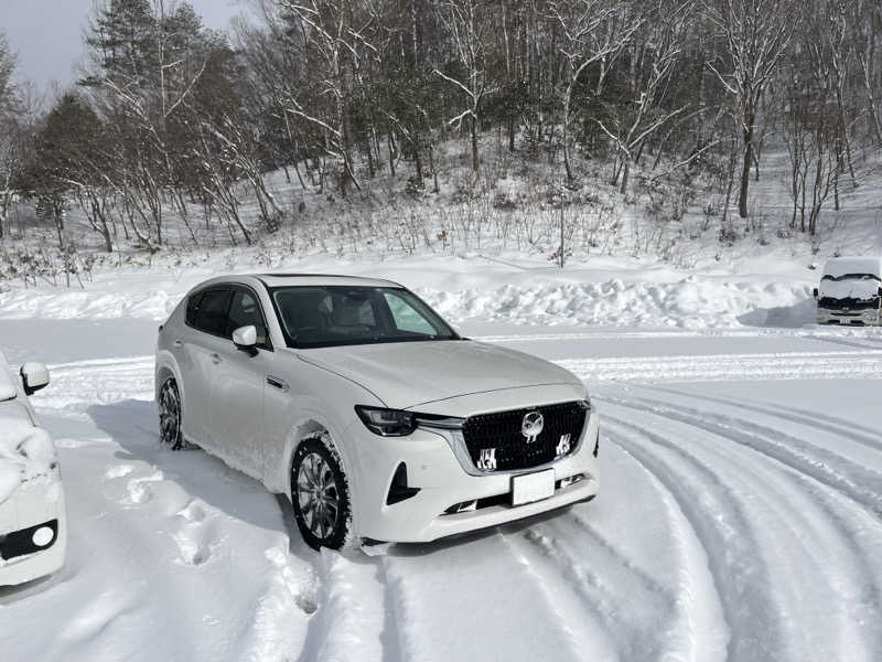 すみっくさんの芸北オークガーデンのサ活写真