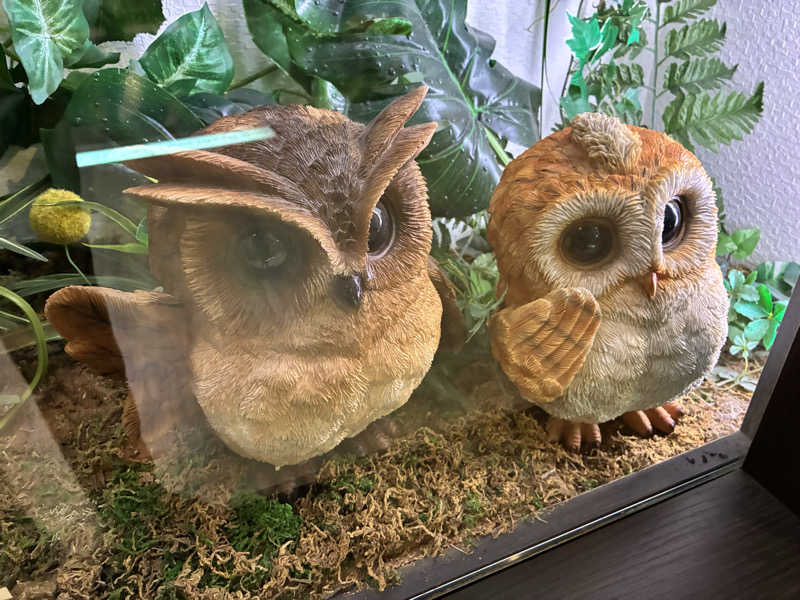 つむぐさんのカプセルホテル&サウナ 池袋プラザのサ活写真