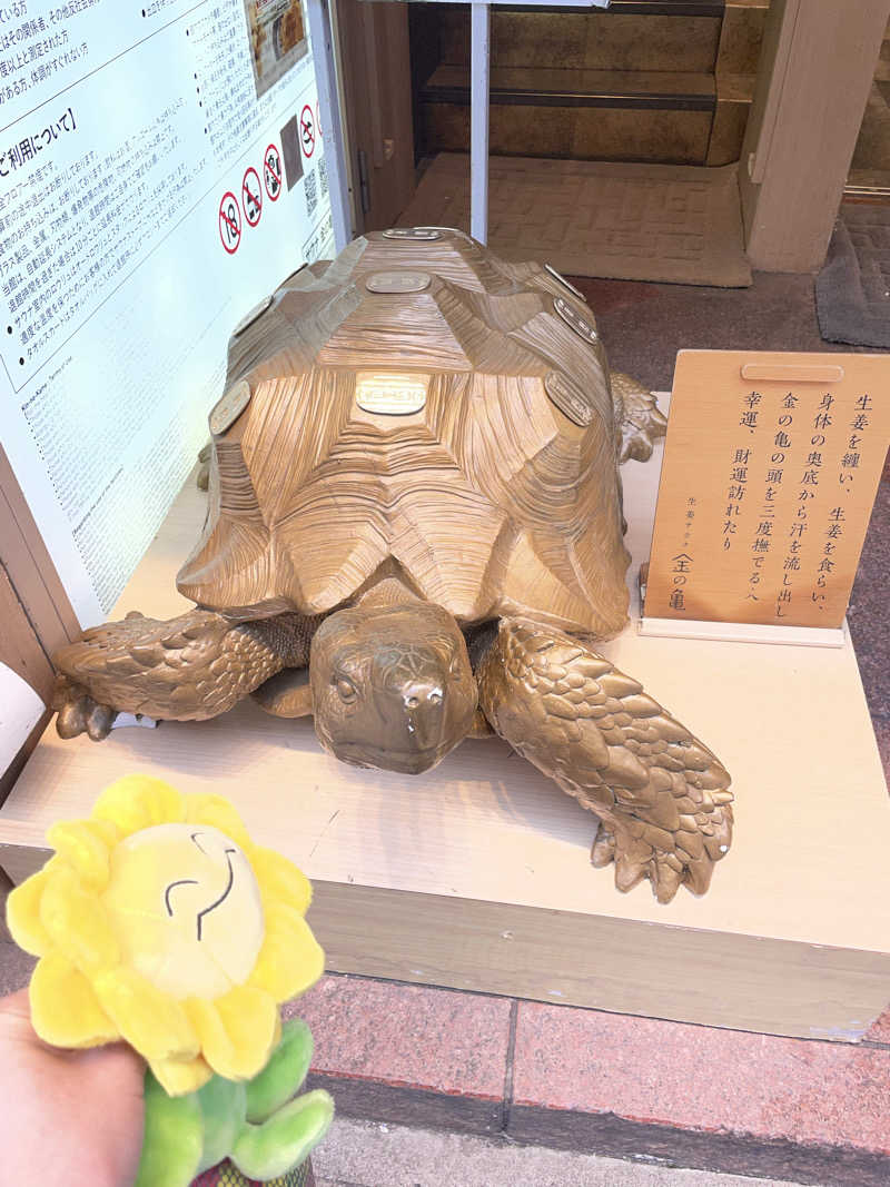 ぽん酢さんの生姜サウナ 金の亀のサ活写真