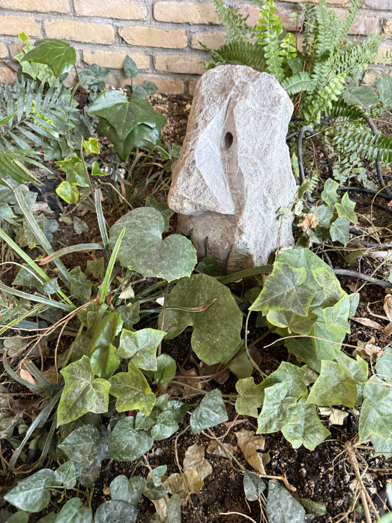 來來キョンシーさんの神戸サウナ&スパのサ活写真