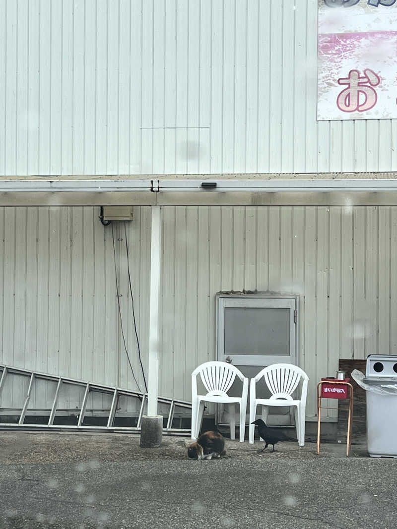 お湯スタぐらむ♨️さんの立山鉱泉のサ活写真