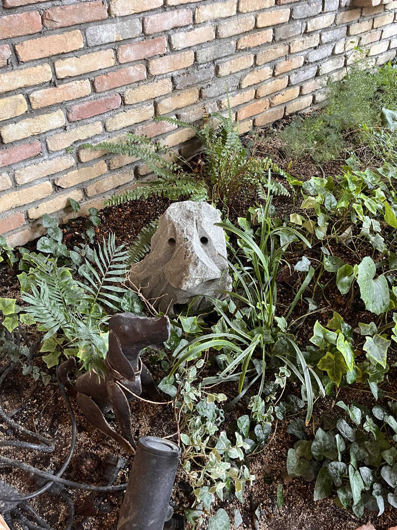 Fujirockersaunaさんの神戸サウナ&スパのサ活写真