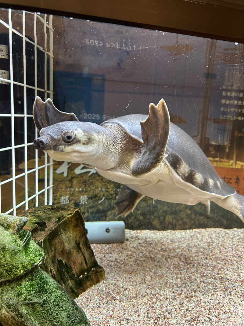 🧖さんの松本湯のサ活写真