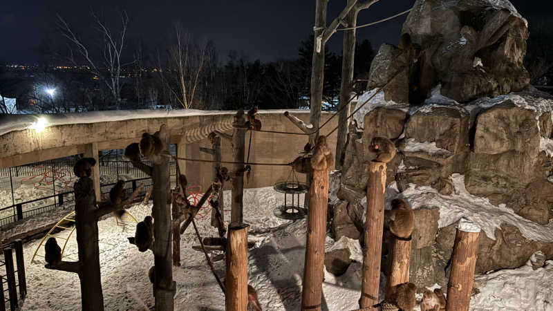 短パン小僧@旭川さんの龍乃湯温泉のサ活写真