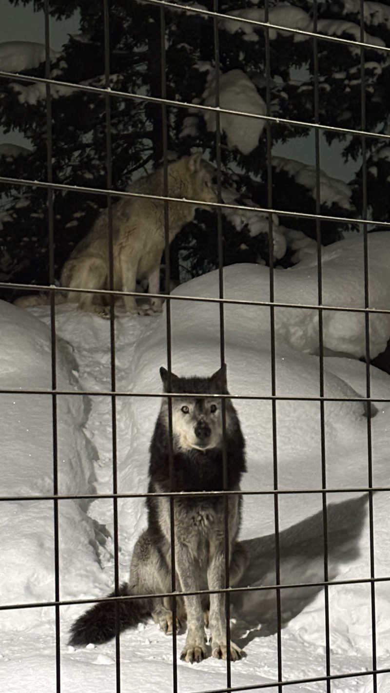 短パン小僧@旭川さんの龍乃湯温泉のサ活写真