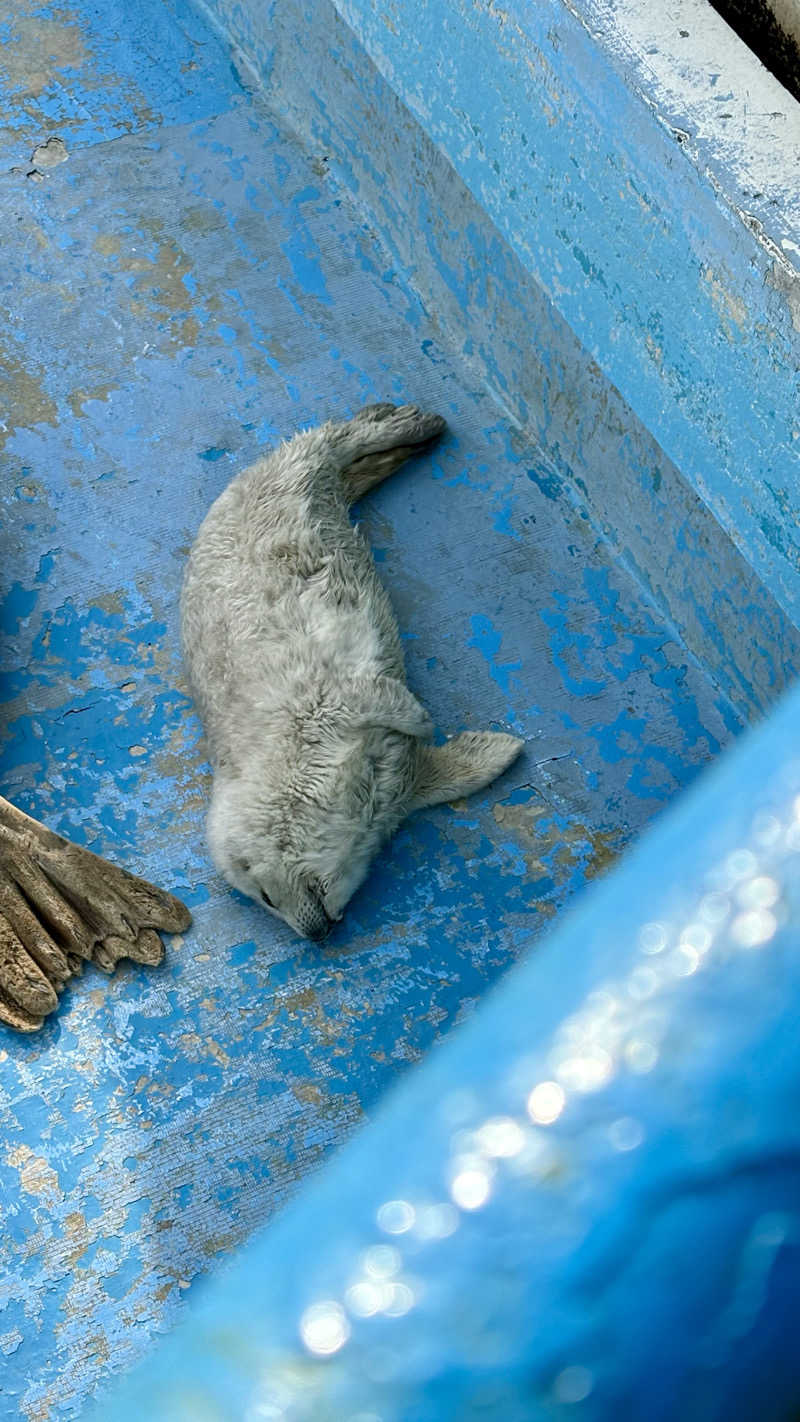 短パン小僧@旭川さんの天然温泉 天北の湯 ドーミーイン稚内のサ活写真