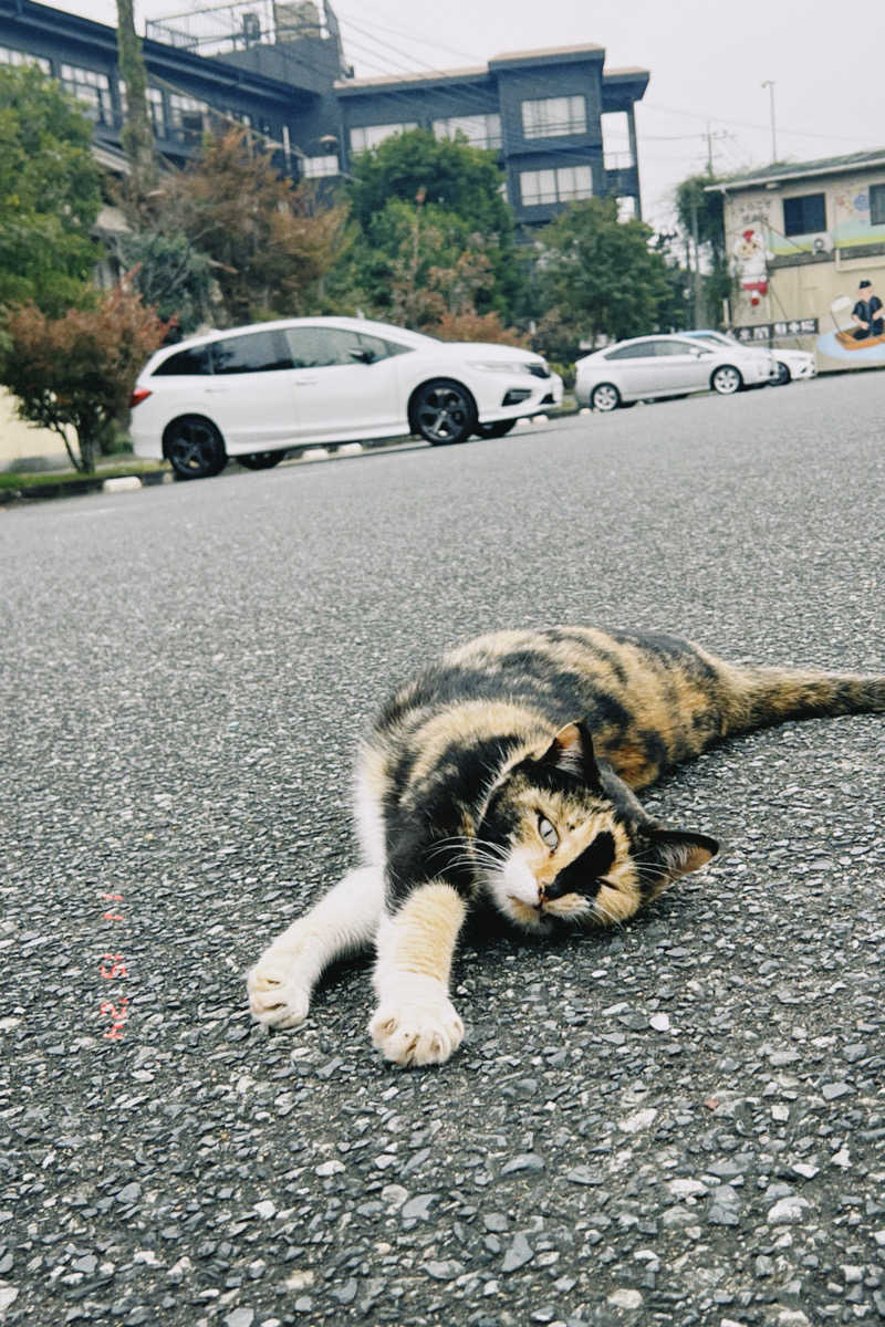 にゃごんさんの原鶴温泉 泰泉閣のサ活写真