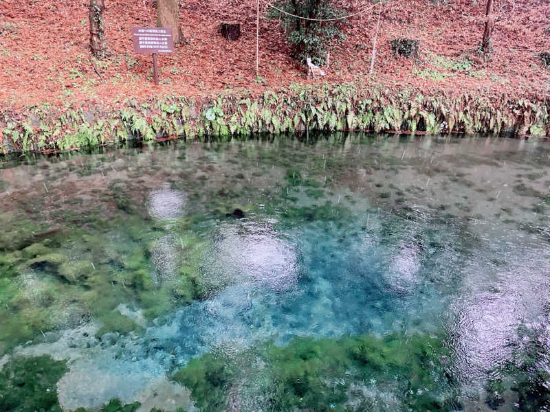 にゃごんさんのサウナと天然温泉 湯らっくすのサ活写真