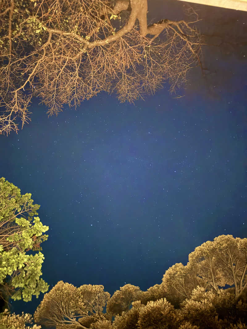 サウナベイビーTATAさんの小江戸サウナのサ活写真