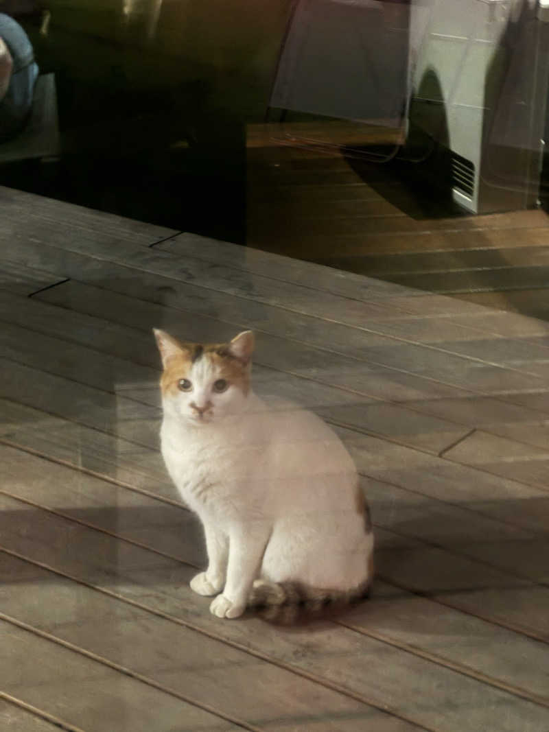 サウナベイビーTATAさんの雫花のサ活写真