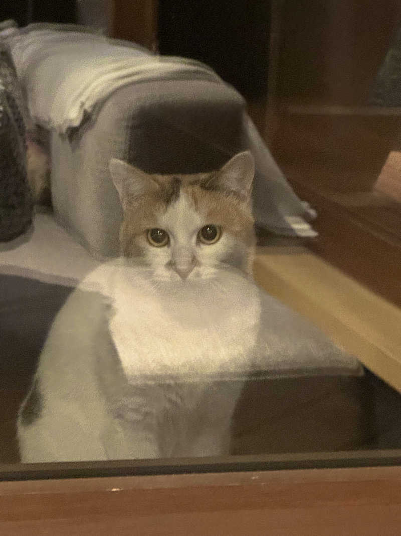 サウナベイビーTATAさんの雫花のサ活写真